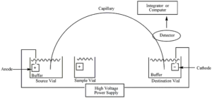Capillary Electrophoresis – Definition, Principle, Types and Application