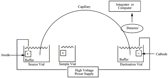 Capillary Electrophoresis - Definition, Principle, Types and Application