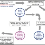 Principle of Romanowsky Stains