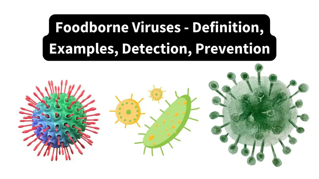 Foodborne Viruses - Definition, Examples, Detection, Prevention ...