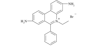 the structure of EtBr.