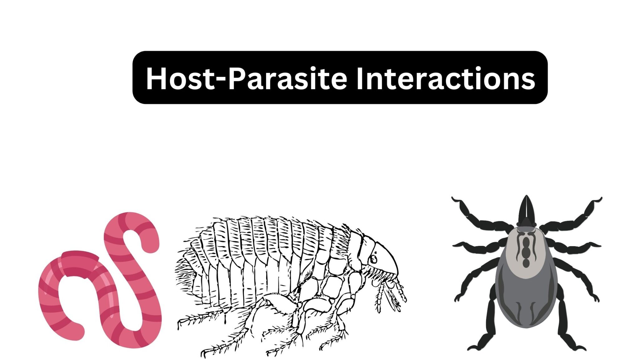 Parasitology biology notes online