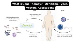 Gene Therapy –  Definition, Types, Vectors, Applications