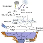 Chemogeny or Chemical Evolution of Life