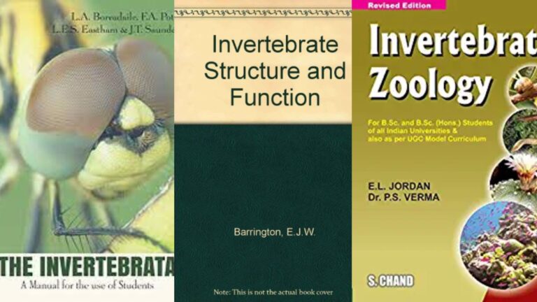 4 Best Books for Non-chordates