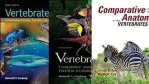 7 Best Books For Anatomy Of Vertebrates
