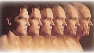 Ageing – Definition, Theories, and models