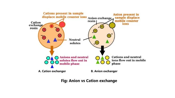 Anion Exchange Chromatography