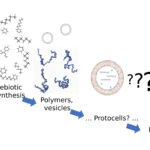 Biogeny (Formation of Primitive Life)