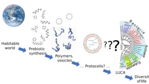 Biogeny (Formation of Primitive Life)