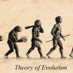 Darwinism Theory - Definition & Examples