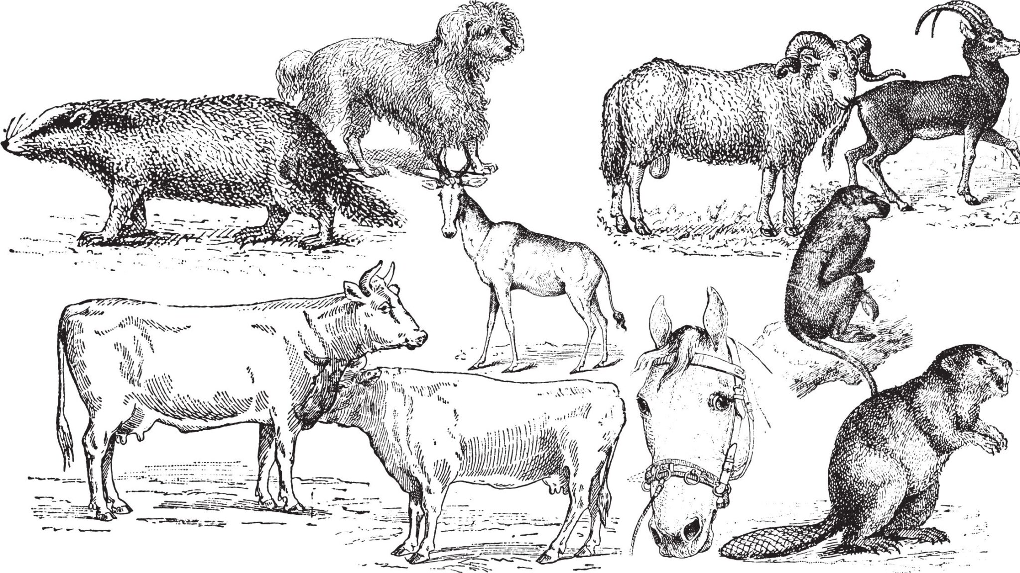 Ethology biology notes online
