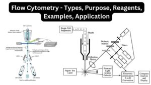 Flow Cytometry – Types, Purpose, Reagents, Examples, Application