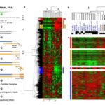 Gene Expression Profiling - Definition, Uses, Limitations