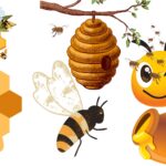 Honey bee - Definition, Types, Behaviour