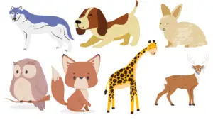 Learning Behaviour – Definition, Types, Examples