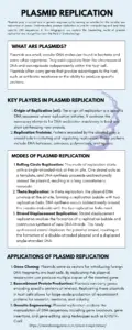 Plasmid Replication Infographic