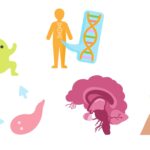 What is Developmental Biology?