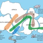 Zoogeography - Plate tectonic andContinental drift theory