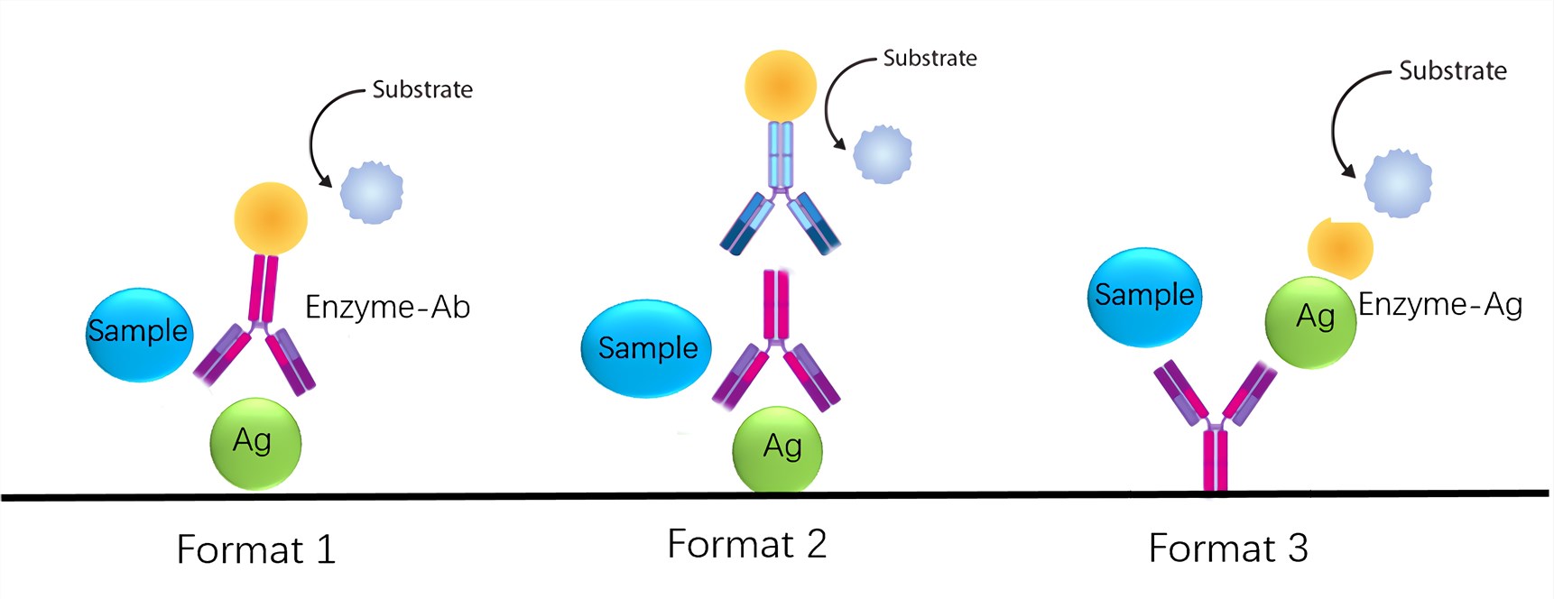 Competitive ELISA - Principle, Protocol, Applications - Biology Notes ...