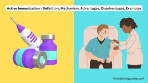 Active Immunization – Definition, Mechanism, Advantages, Disadvantages, Examples