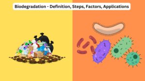 Biodegradation – Definition, Steps, Factors, Applications
