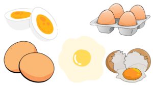 Spoilage of Eggs – Contamination, Preservation Steps