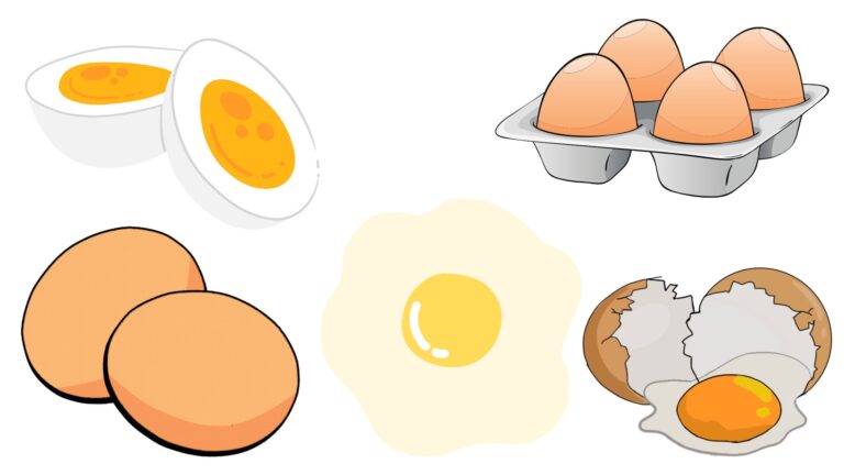 Spoilage of Eggs - Contamination, Preservation Steps