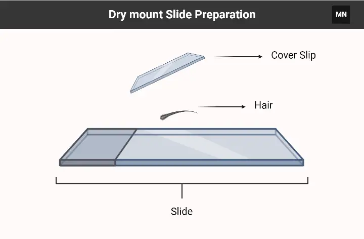 Temporary Dry Mount Slides Preparation Procedure