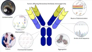 Which Factors affects Immunogenicity? – Factors affecting Immunogenicity