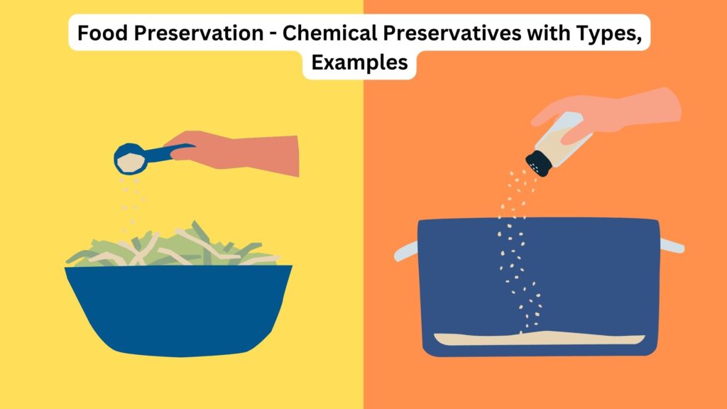 Food Preservation - Chemical Preservatives With Types, Examples ...