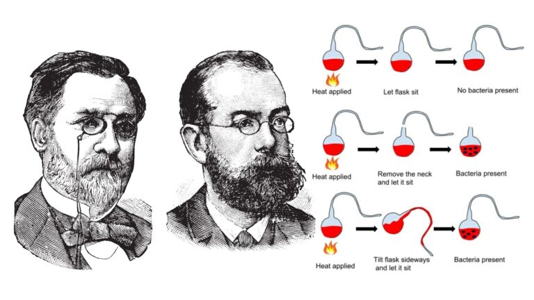 Germ Theory of Disease - Spontaneous Generation
