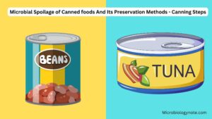 Microbial Spoilage of Canned foods And Its Preservation  Methods – Canning Steps