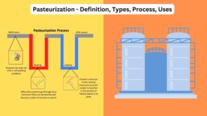 Pasteurization – Definition, Types, Process, Uses