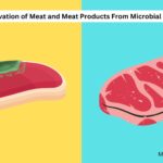 Preservation of Meat and Meat Products From Microbial Spoilage