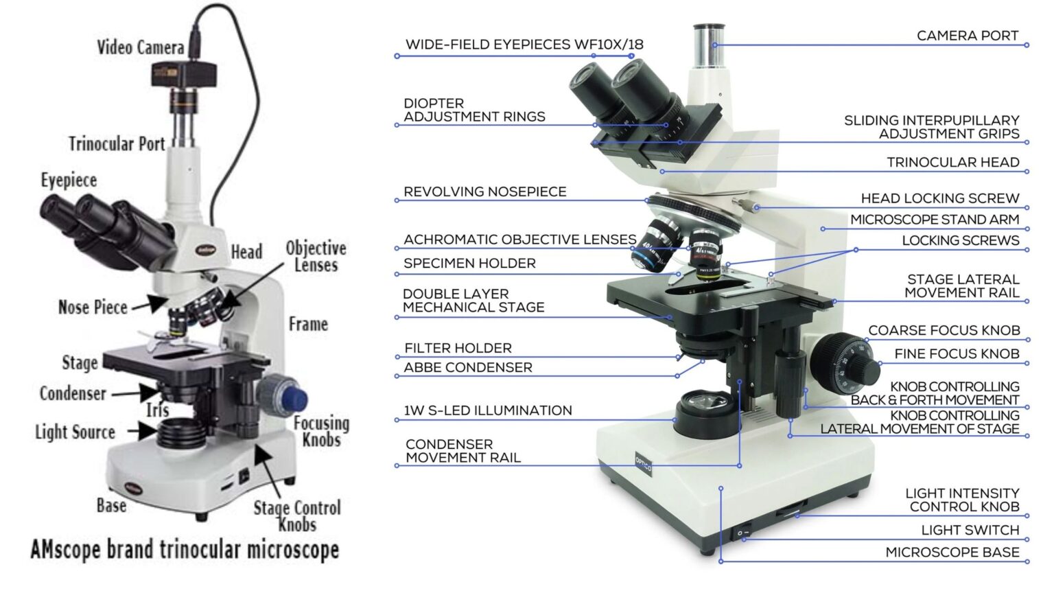 Microscope Biology Notes Online microscope-biology-notes-online