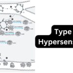 Type III Hypersensitivity - Definition, Types, Mechanism, Examples