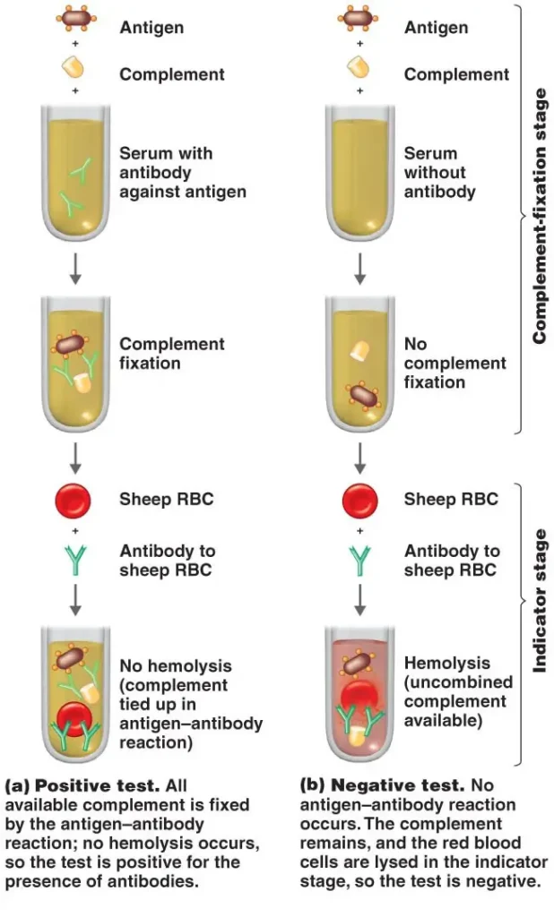 Complement Fixation Test Protocol/Procedure