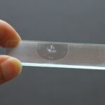 Microscope Slides Preparation Step By Step Guide