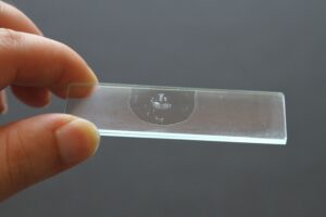 Microscope Slides Preparation Step By Step Guide