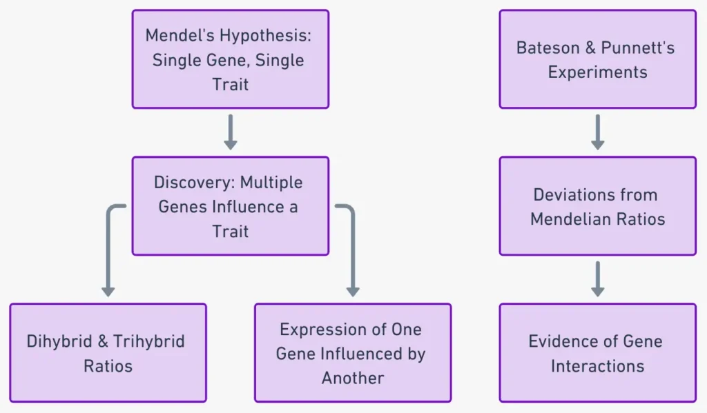 Gene Interaction - Definition, Types, Examples, Importance