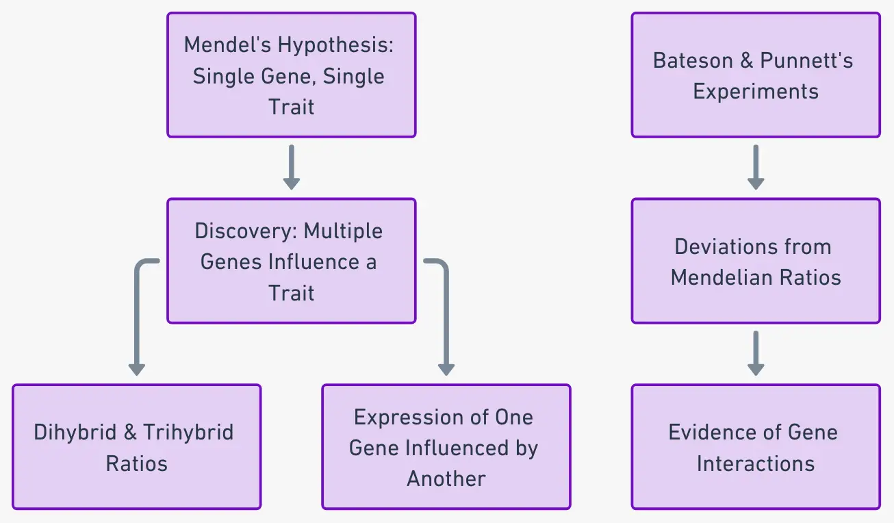 Gene Interaction - Definition, Types, Examples, Importance