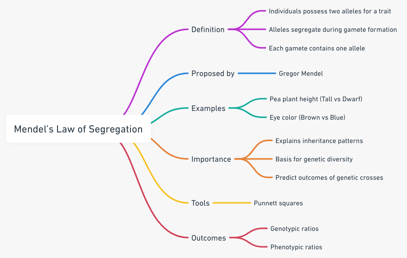 Mendel’s Law of Segregation - Definition, Principle, Examples, Limitations