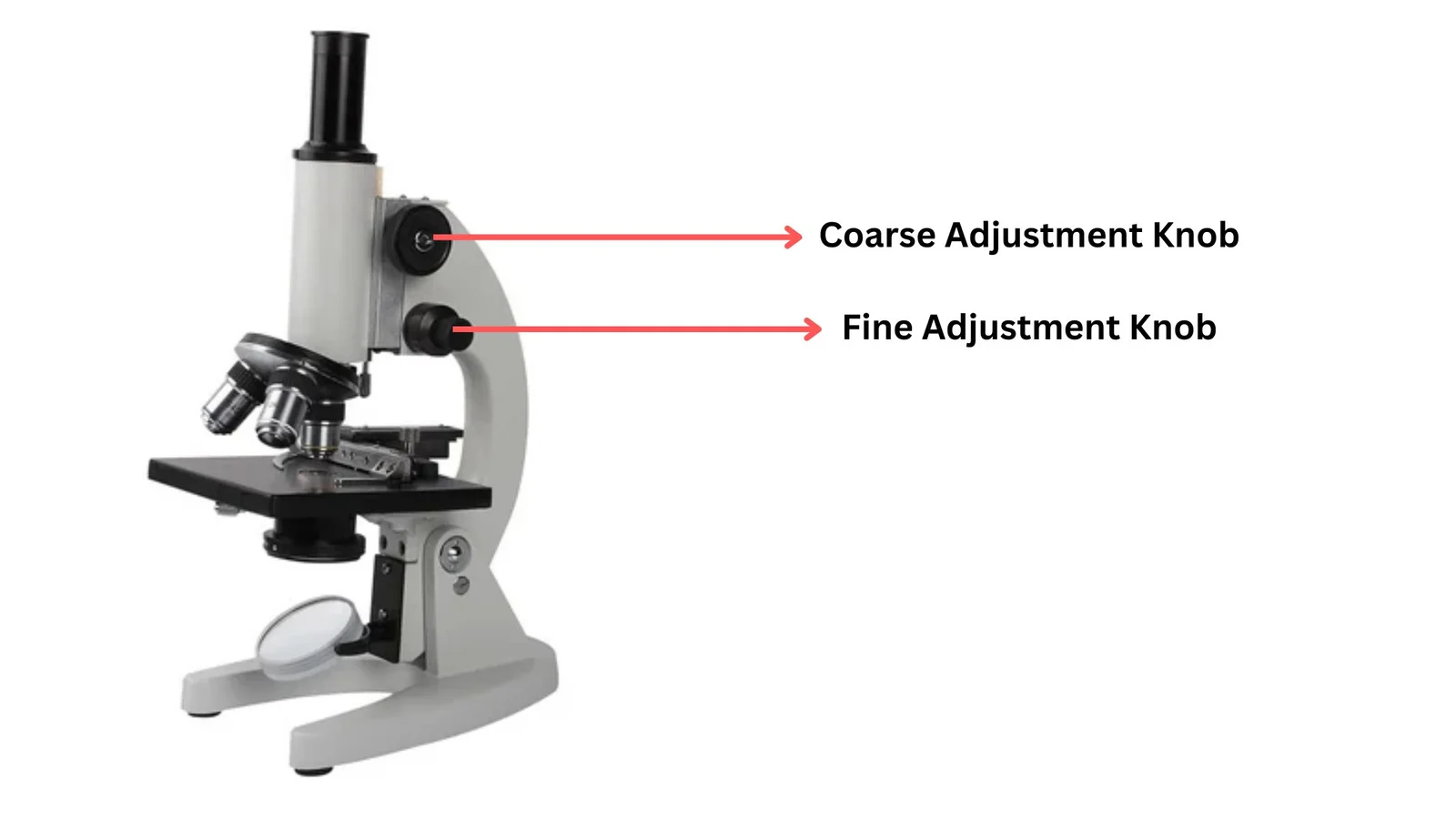 Coarse Adjustment and Fine Adjustment Knob of Microscope