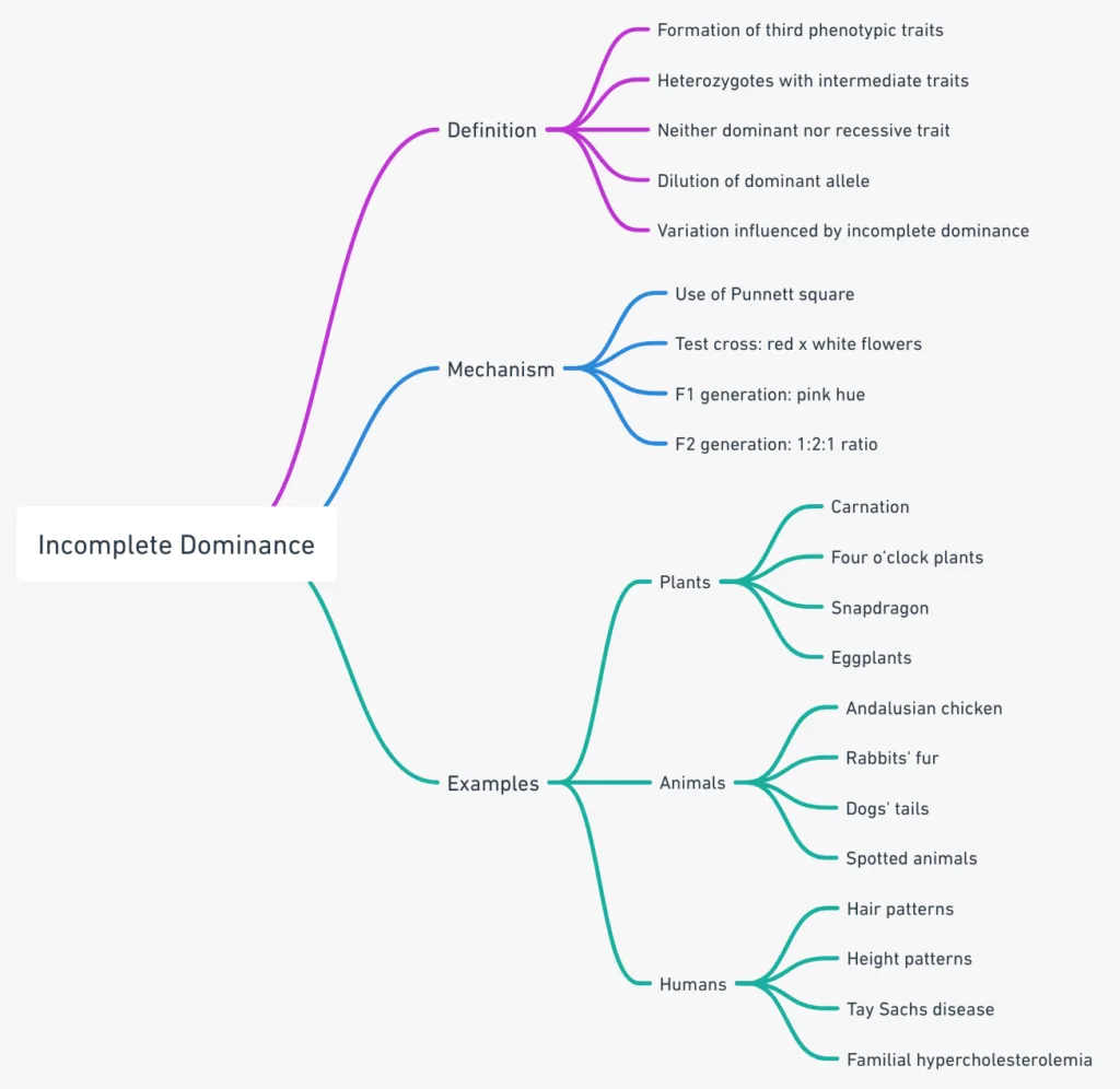 Incomplete Dominance - Definition, Mechanism, Examples