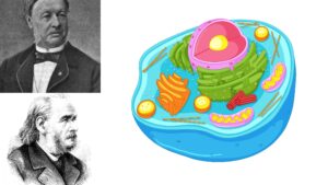 Cell Theory – Definition, History, Principles, Modern Theory, Examples