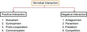Microbial interaction – Definition, Types, Characteristics, Examples