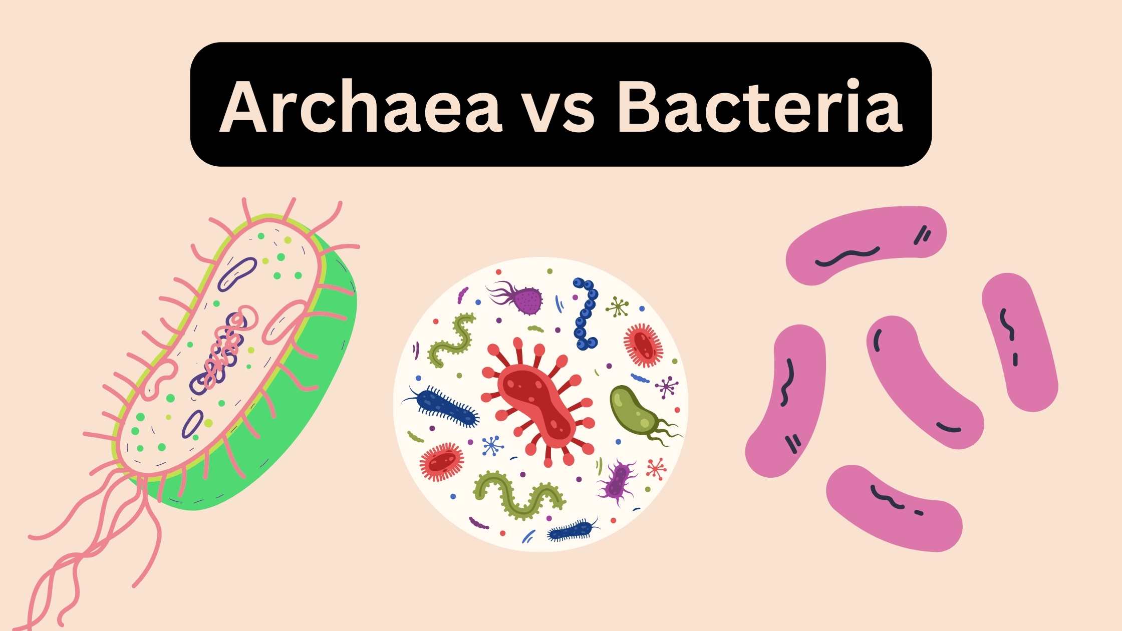 Archaea vs Bacteria - Definition, Difference, Examples