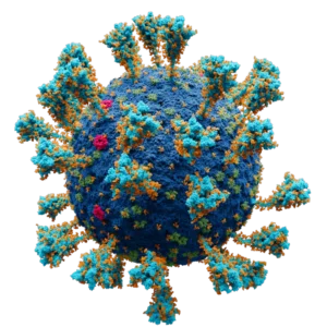 Are Viruses Living or Non-Living?