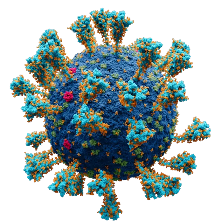 Are Viruses Living or Non-Living?